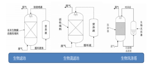球速体育科技