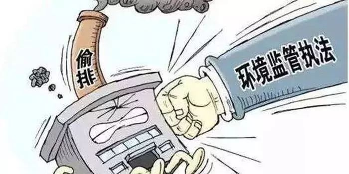 球速体育科技