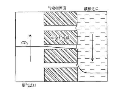 球速体育科技