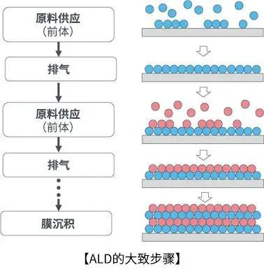 球速体育科技
