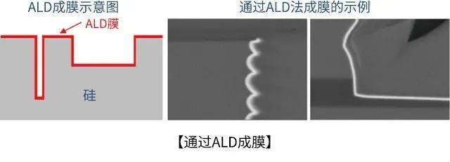 球速体育科技