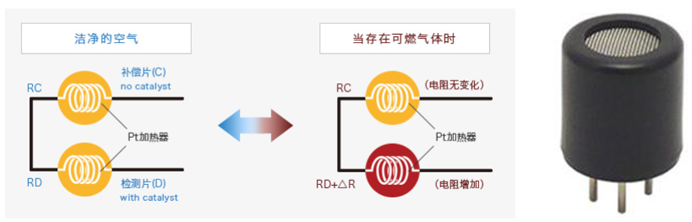 球速体育科技
