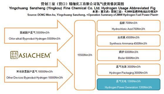 球速体育科技