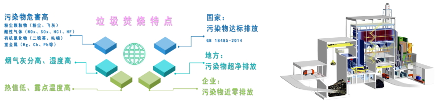 球速体育科技