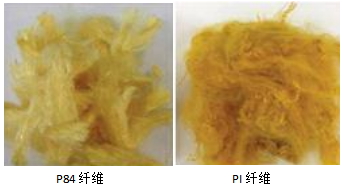 球速体育科技