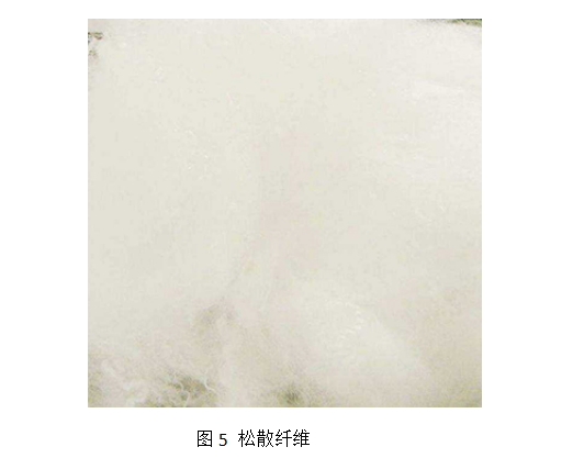 球速体育科技