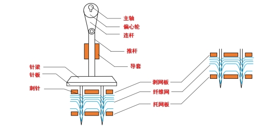 球速体育科技