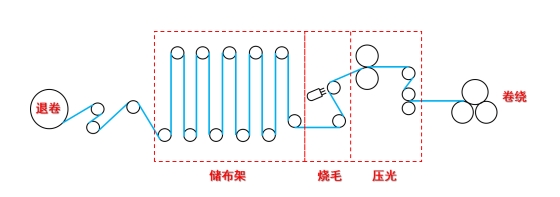 球速体育科技