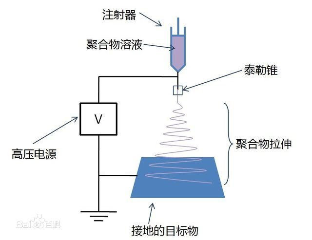 球速体育科技