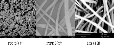 球速体育科技