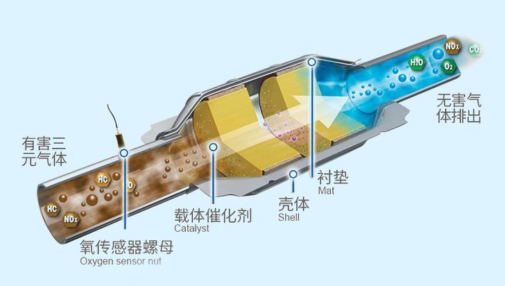 球速体育科技