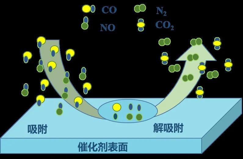 球速体育科技
