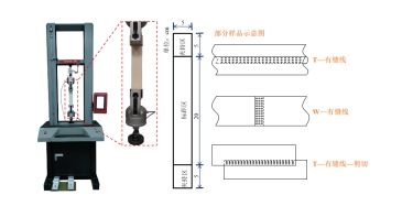 球速体育科技