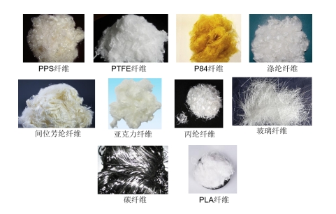 球速体育科技