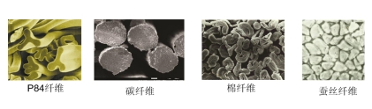 球速体育科技