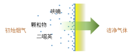 球速体育科技