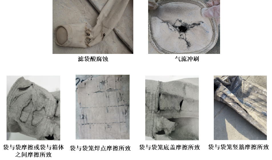 球速体育科技