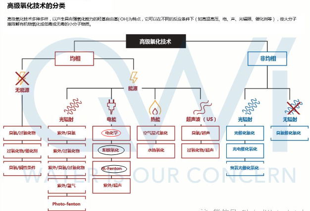 球速体育科技
