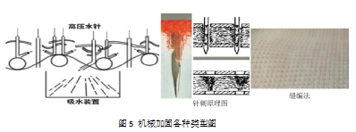 球速体育科技