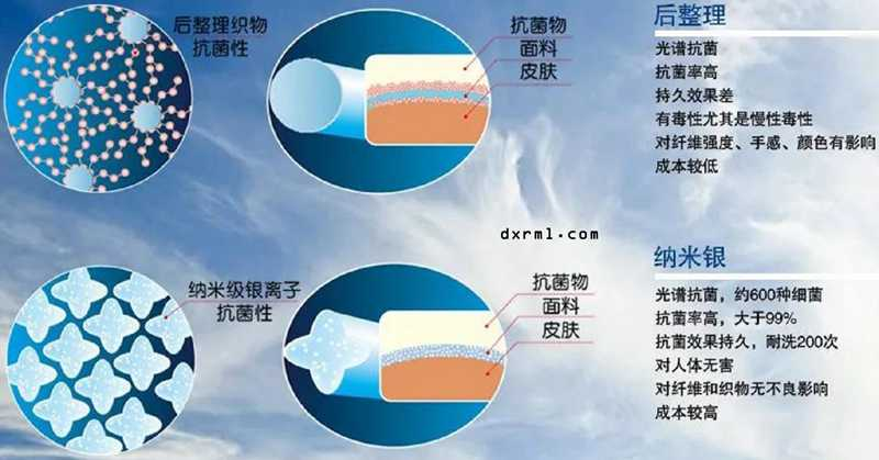 球速体育科技