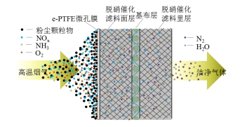 球速体育科技