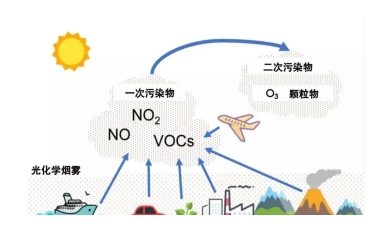球速体育科技