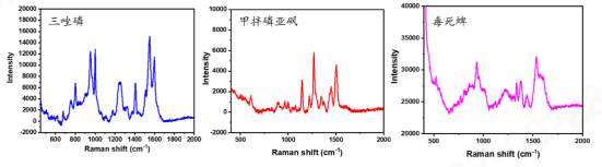 球速体育科技