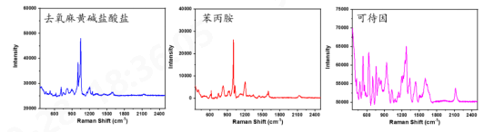 球速体育科技